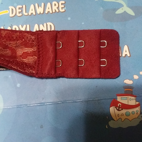 Fredrick's of Hollywood Burgundy Leopard Bra & Panty Set 32D & (S) - Picture 4 of 16